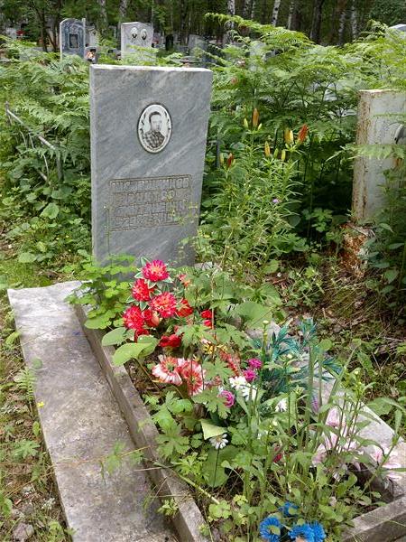 Шапошников Виктор Дмитриевич
