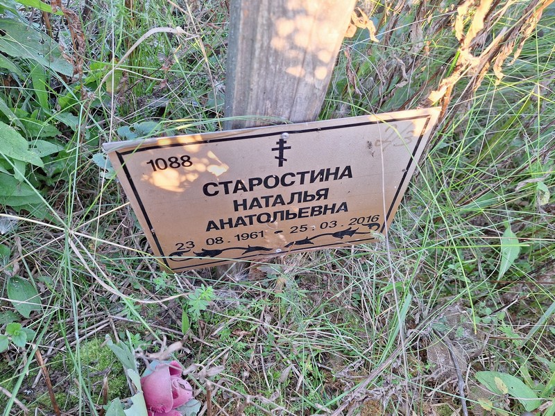 Старостина