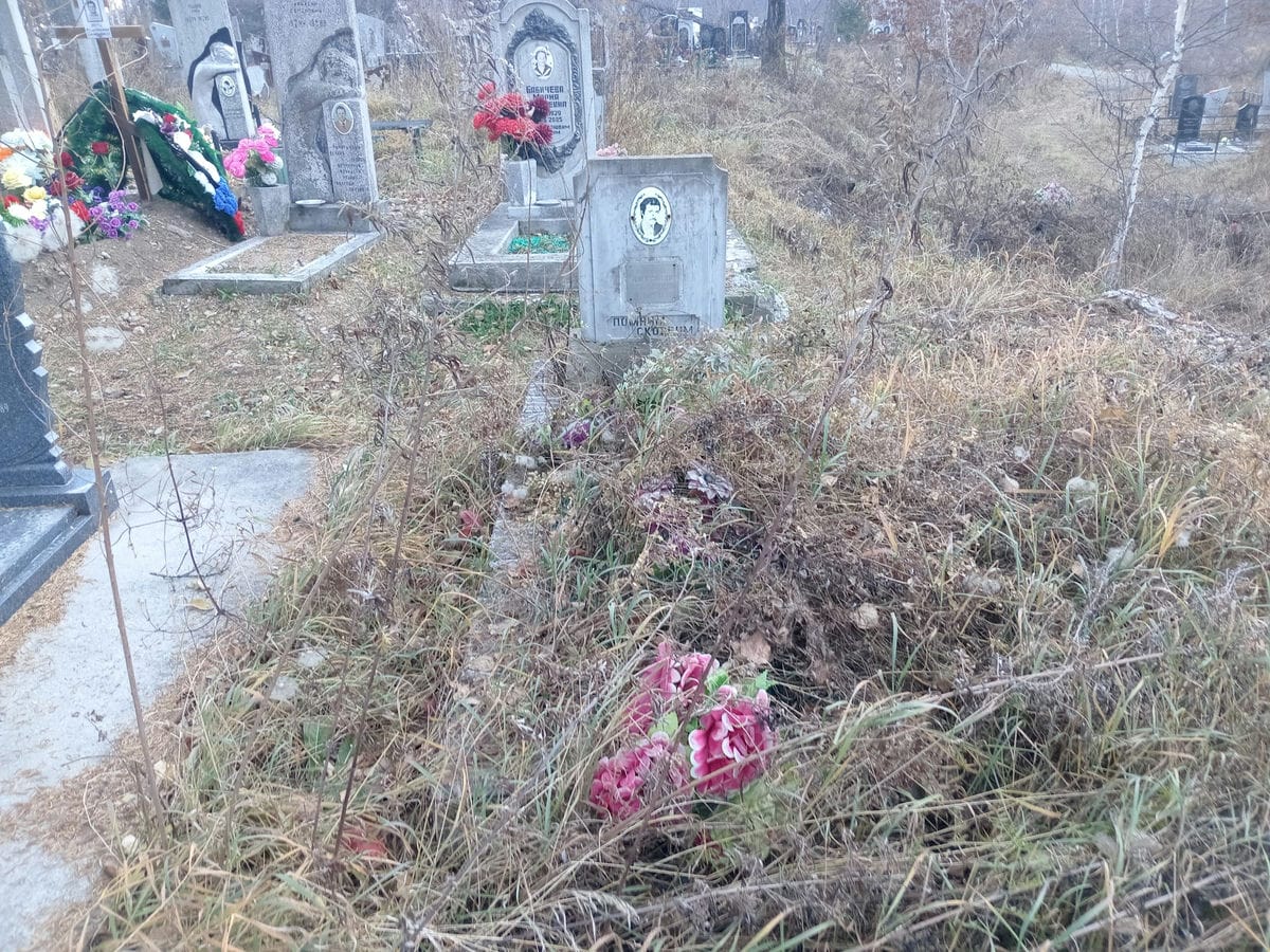 Миллер Александр Ярославович