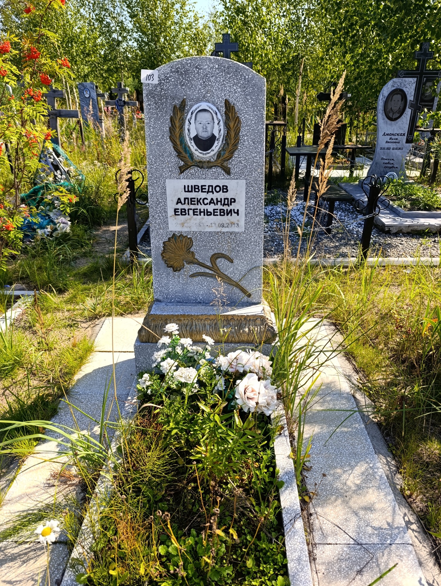 Шведов Александр Евгеньевич