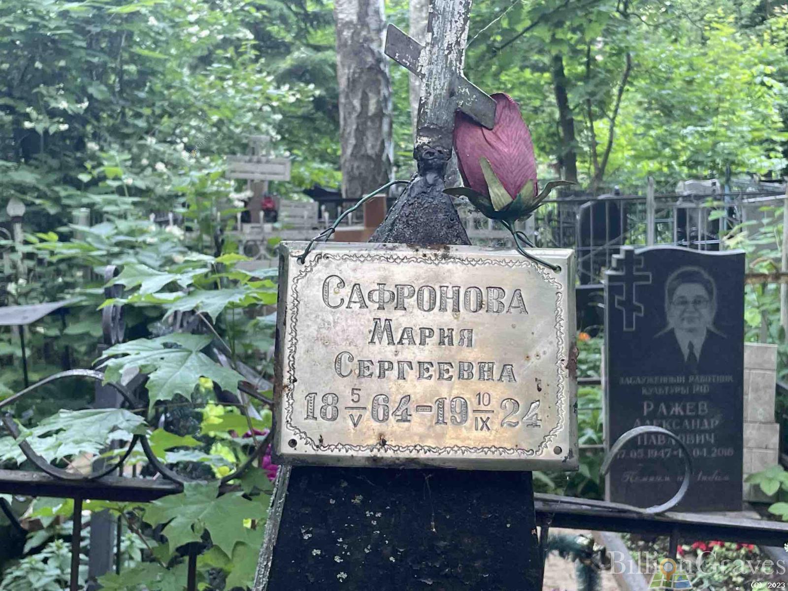 Сафронова Мария Сергеевна