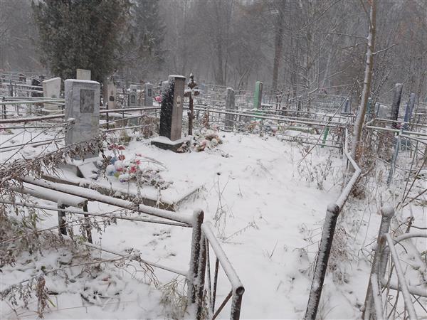 Бочкарев Александр Андреевич