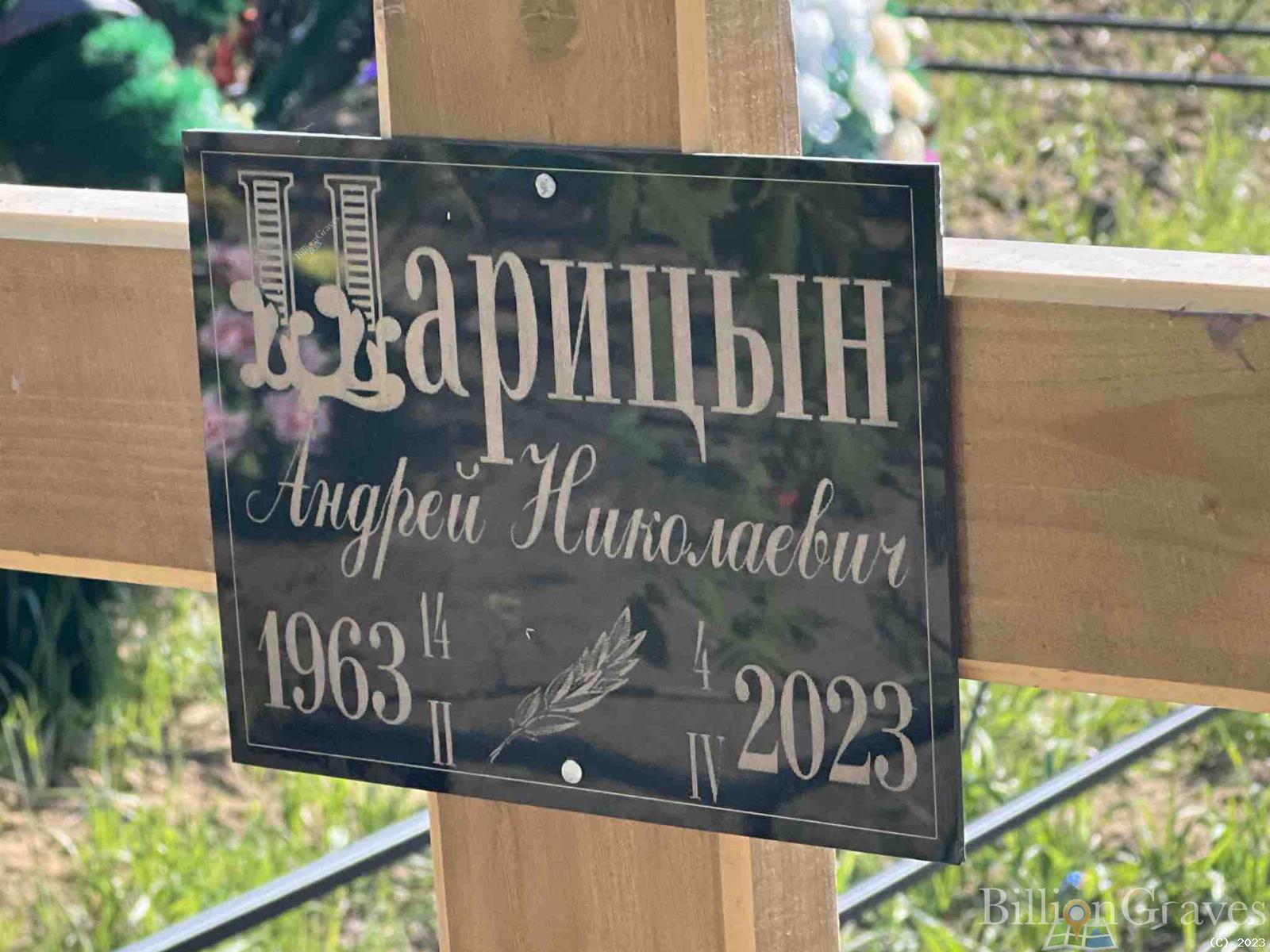 Царицын Андрей Николаевич