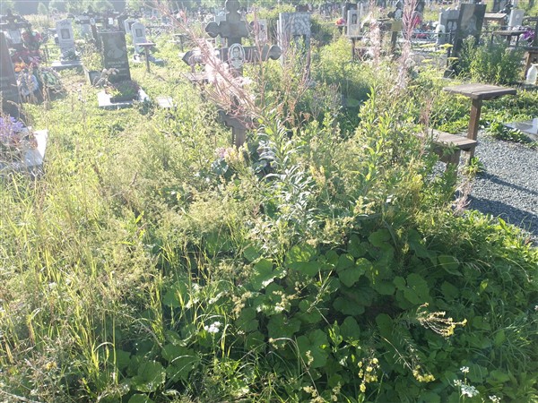 Рудомётова Любовь Викторовна