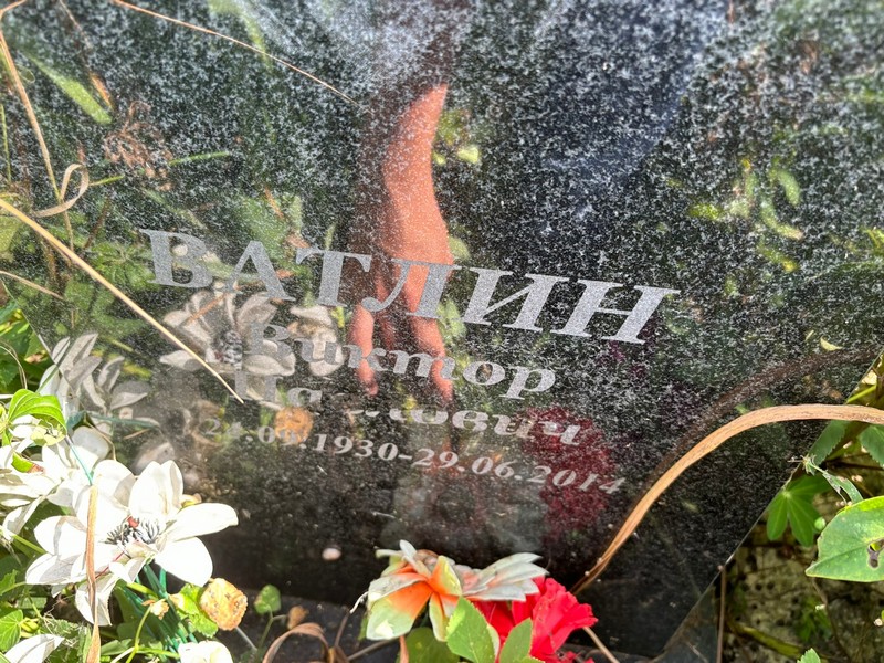 Ватлин