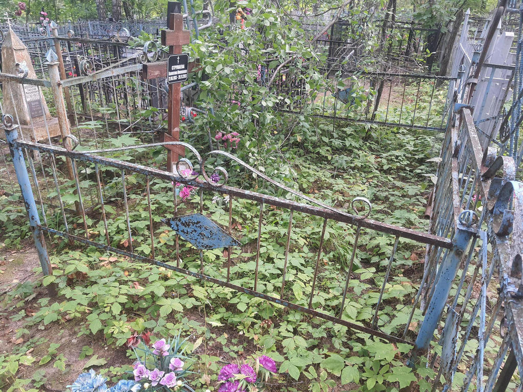 Струнаева Валентина Николаевна
