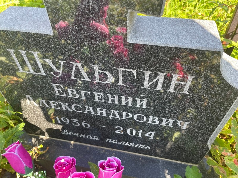 Шульгин