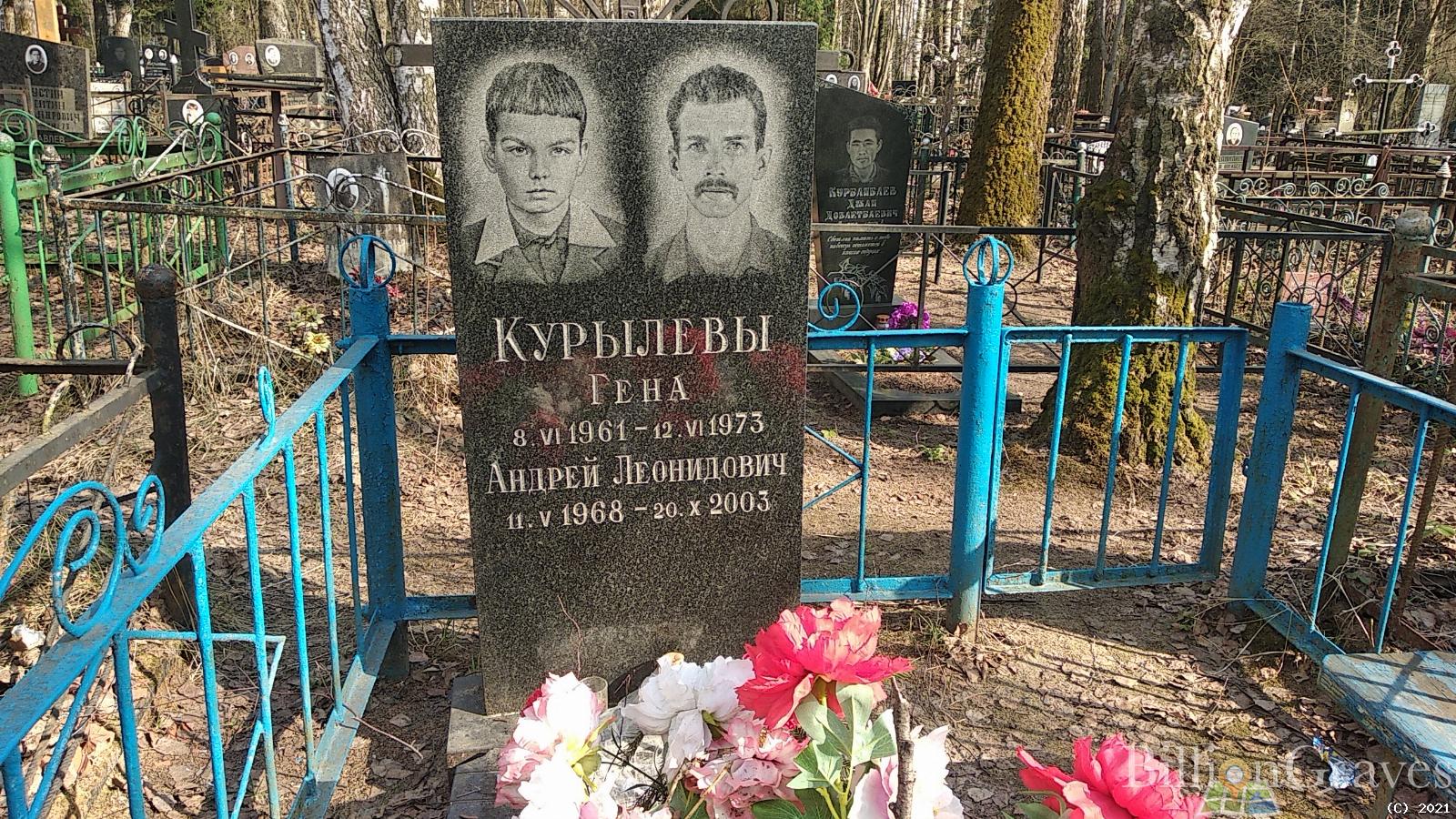 Курылев Андрей Леонидович