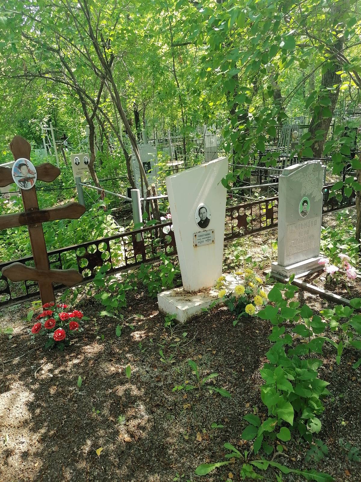 Поботаева Анна