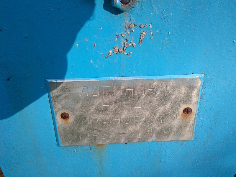 Лугинина