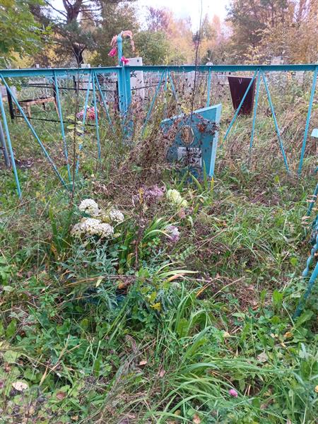 Петля Вера Григорьевна