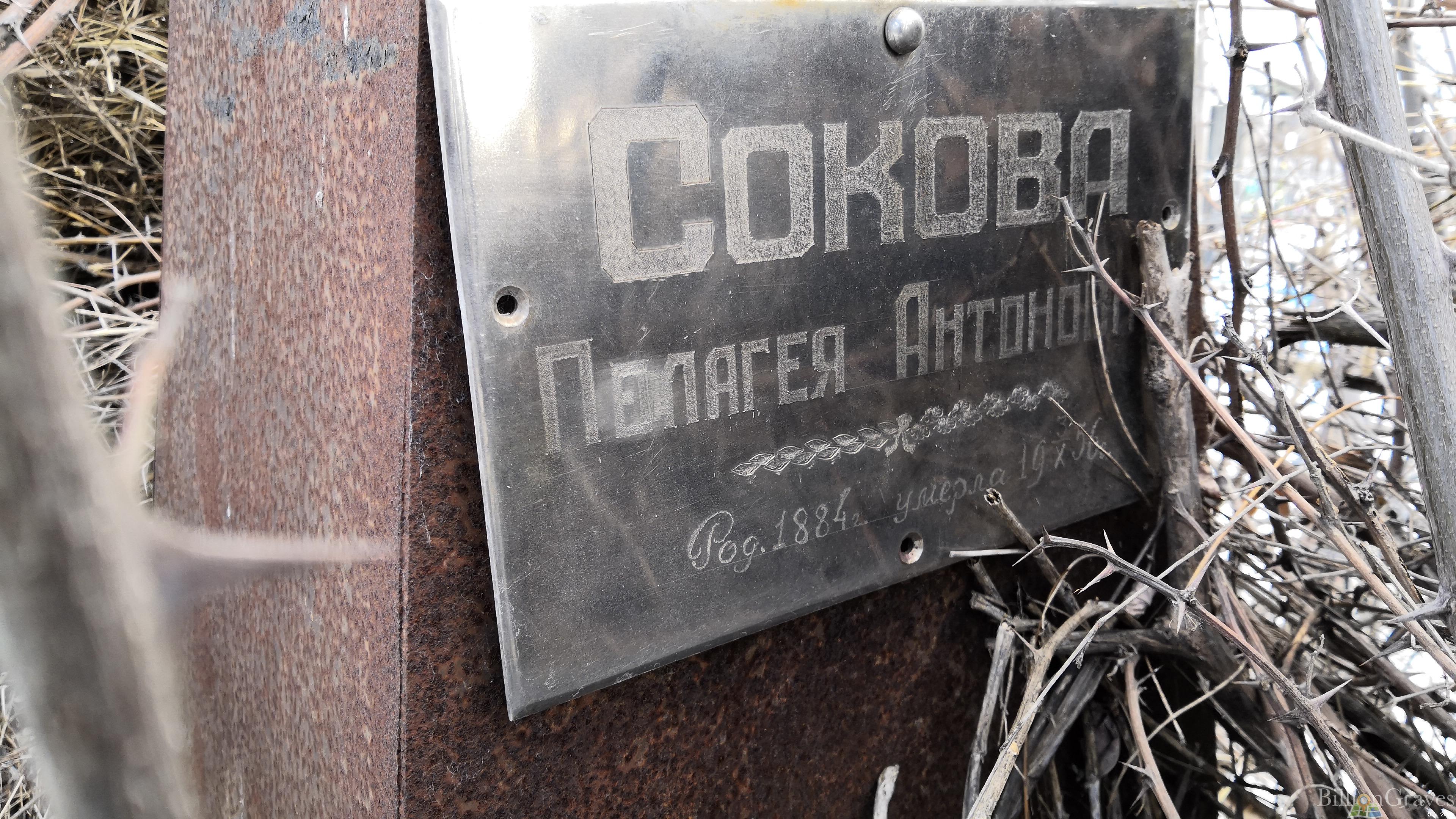 Сокова Пелагея Антоновна
