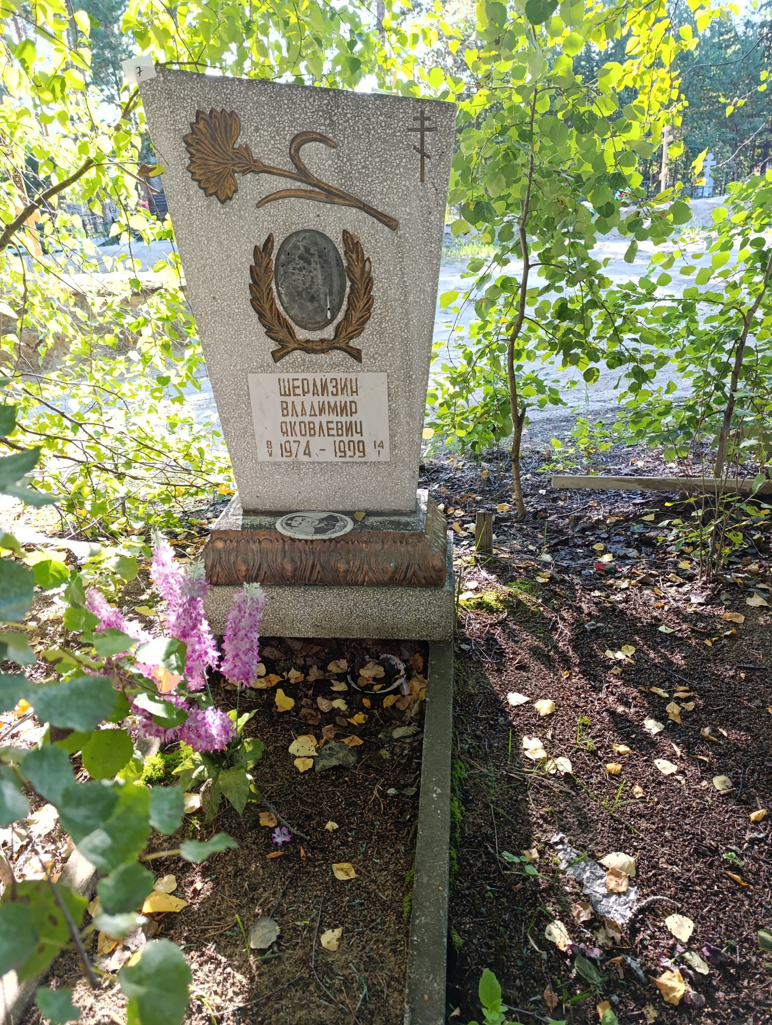 Шерайзин Владимир Яковлевич