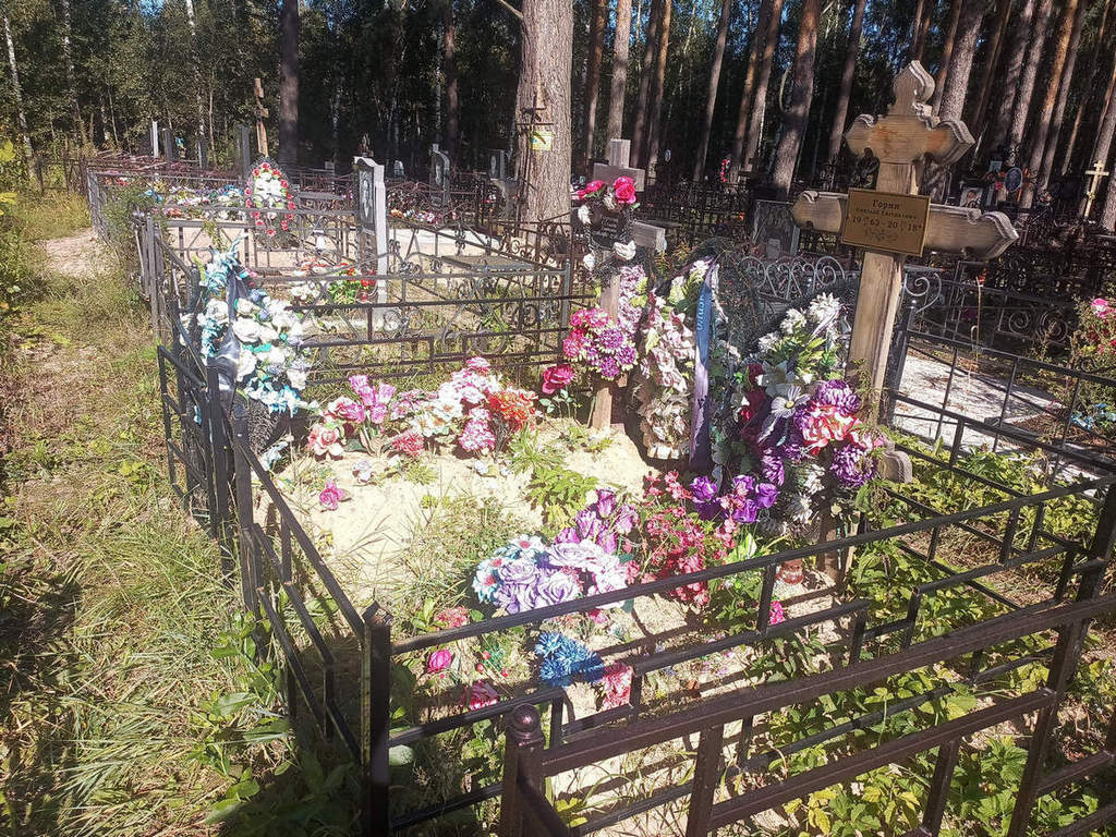 Горин Николай Евгеньевич