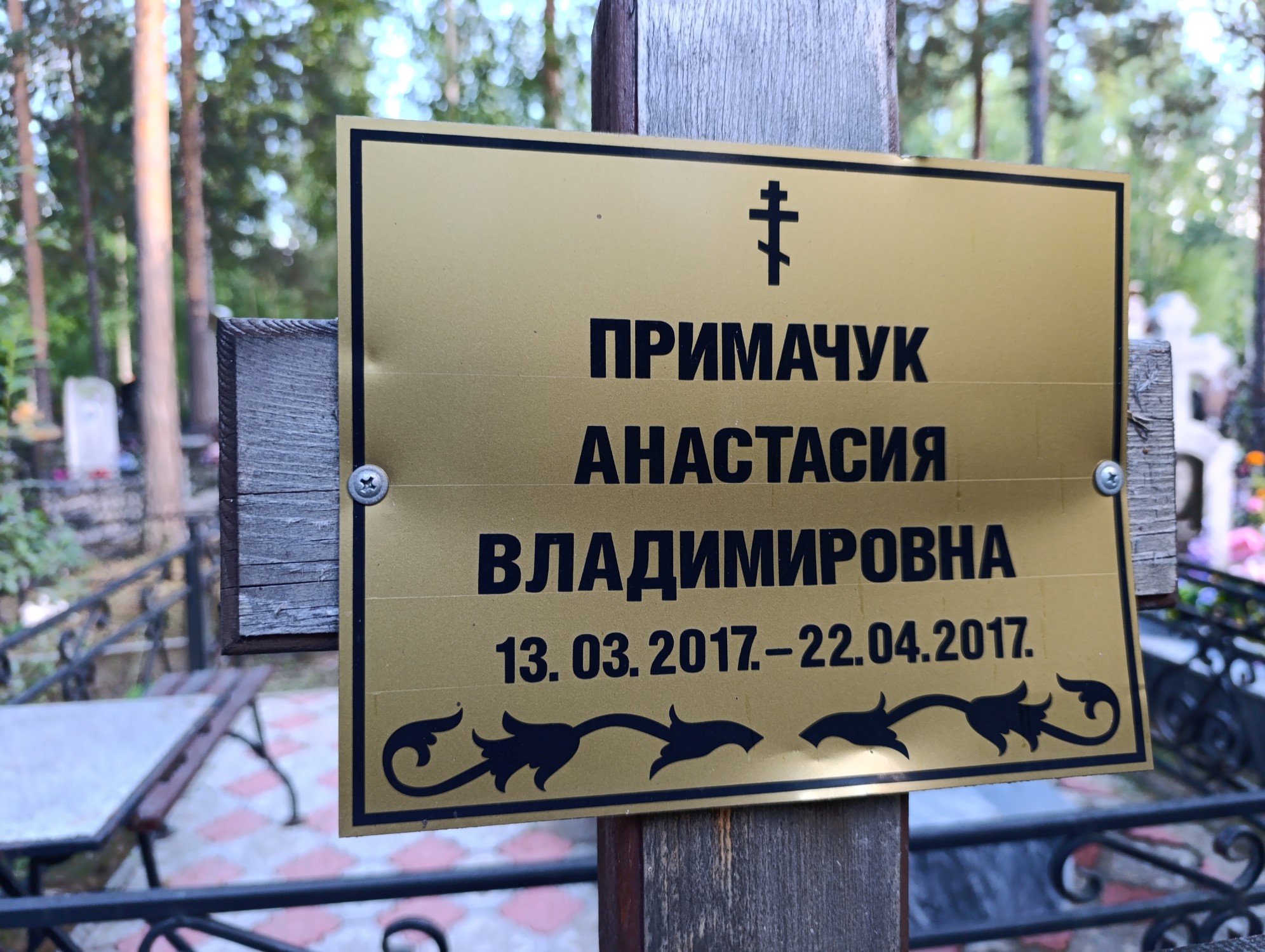 Примачук Анастасия Владимировна