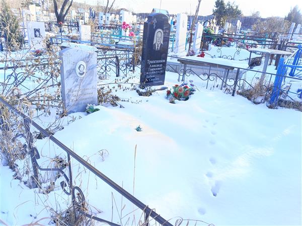 Трапезников Александр Гаврилович