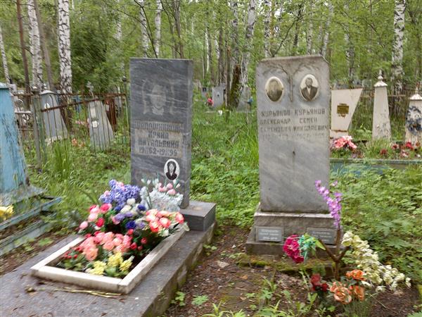 Шапошникова Ирина Витальевна