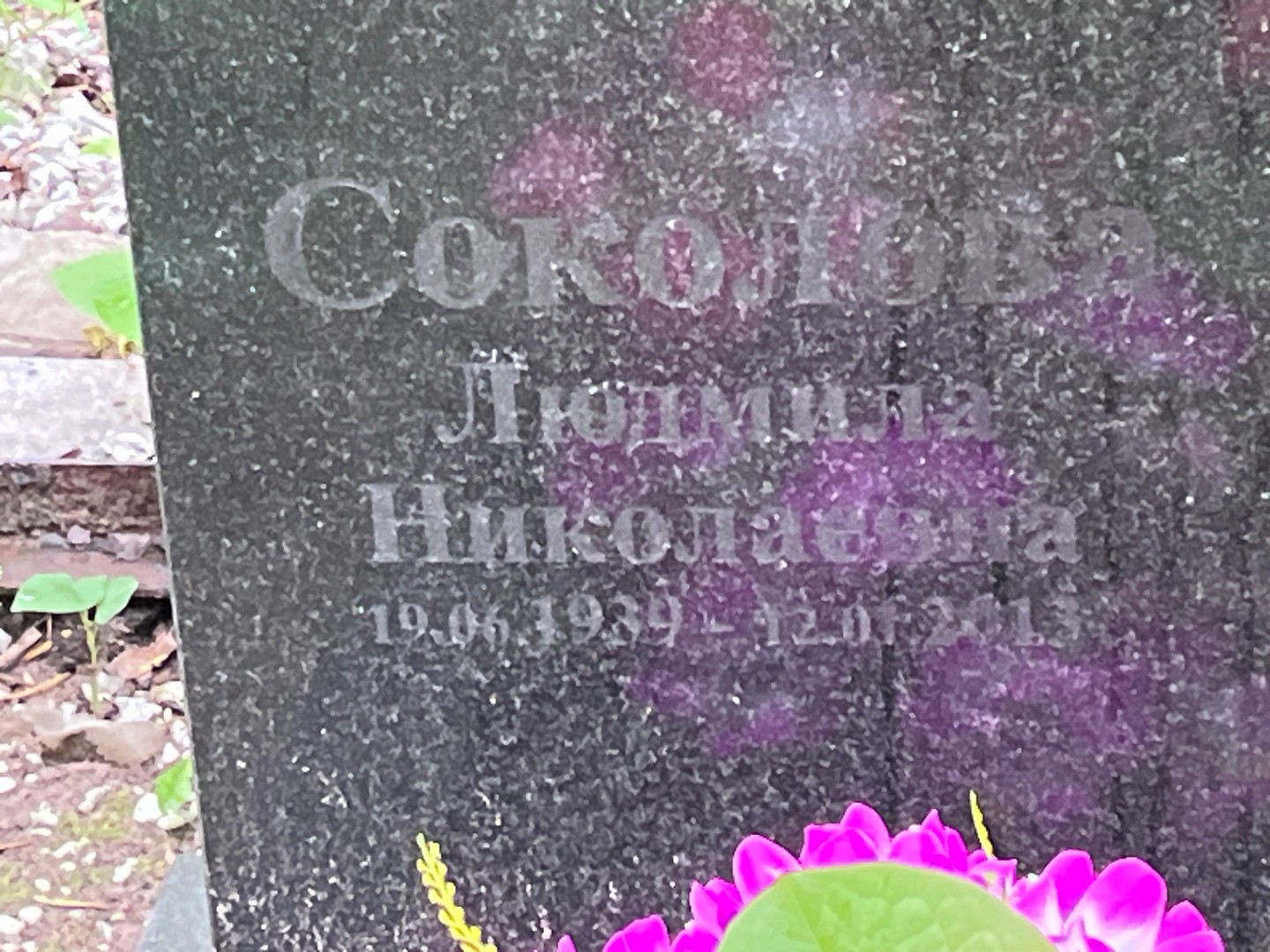 Соколова