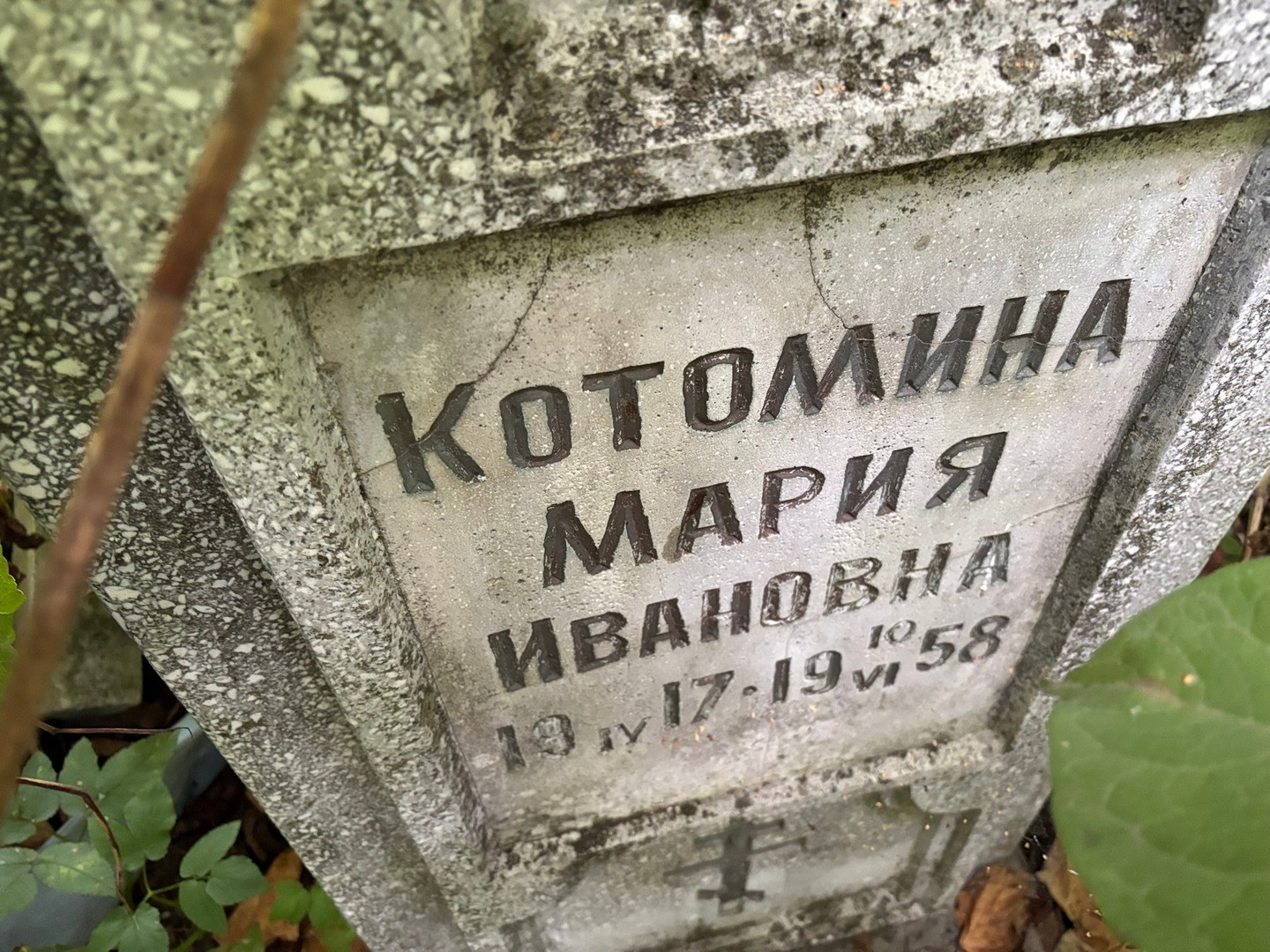 Котомина