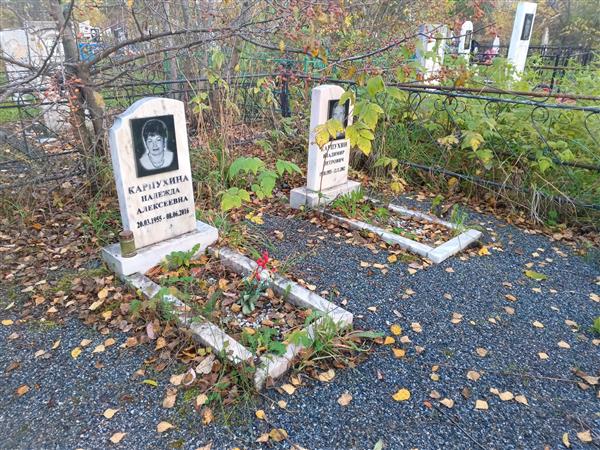 Карпухин Владимир Петрович