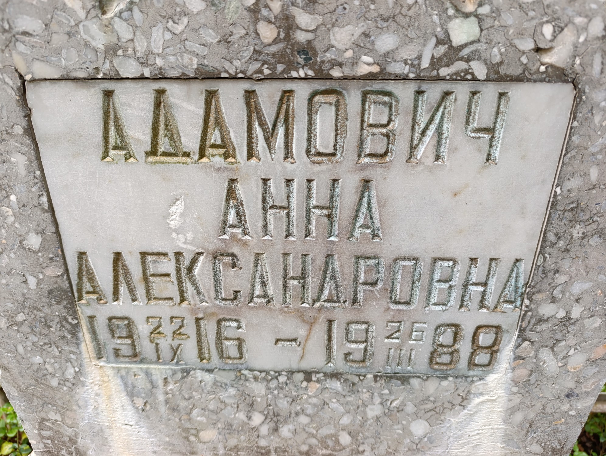 Адамович Анна Александровна