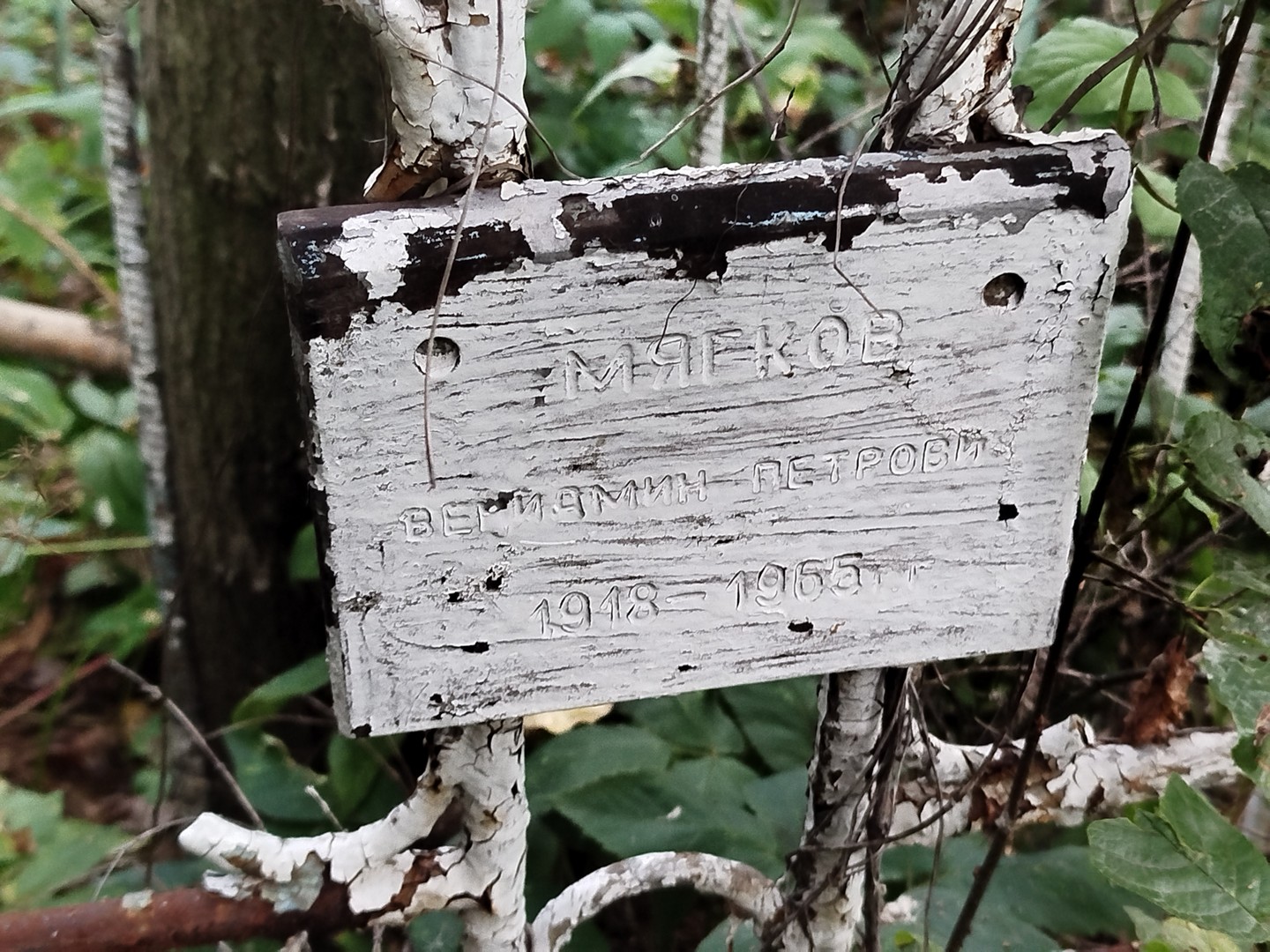 Вениамин Мягков Петрович