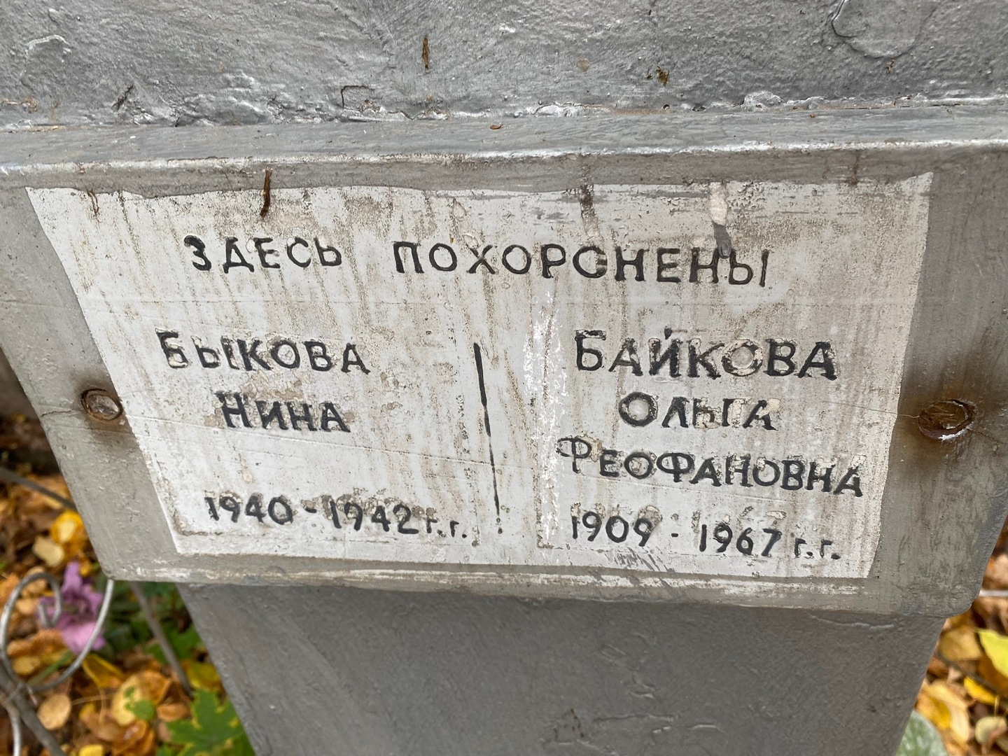 Быкова Быкова