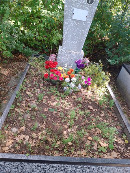 Михеев Александр Егорович
