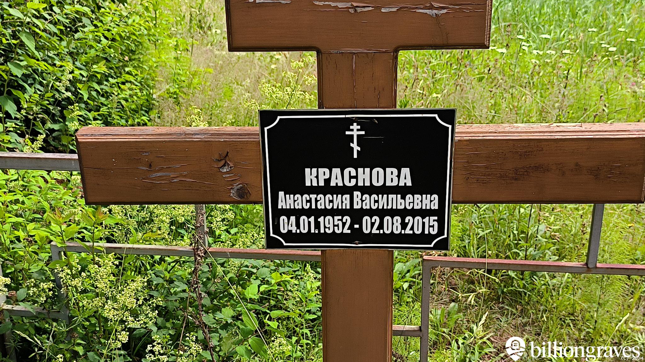 Краснова Анастасия Васильевна