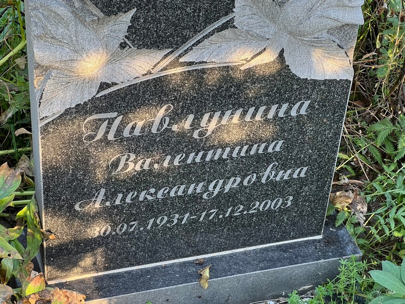 Павлунина