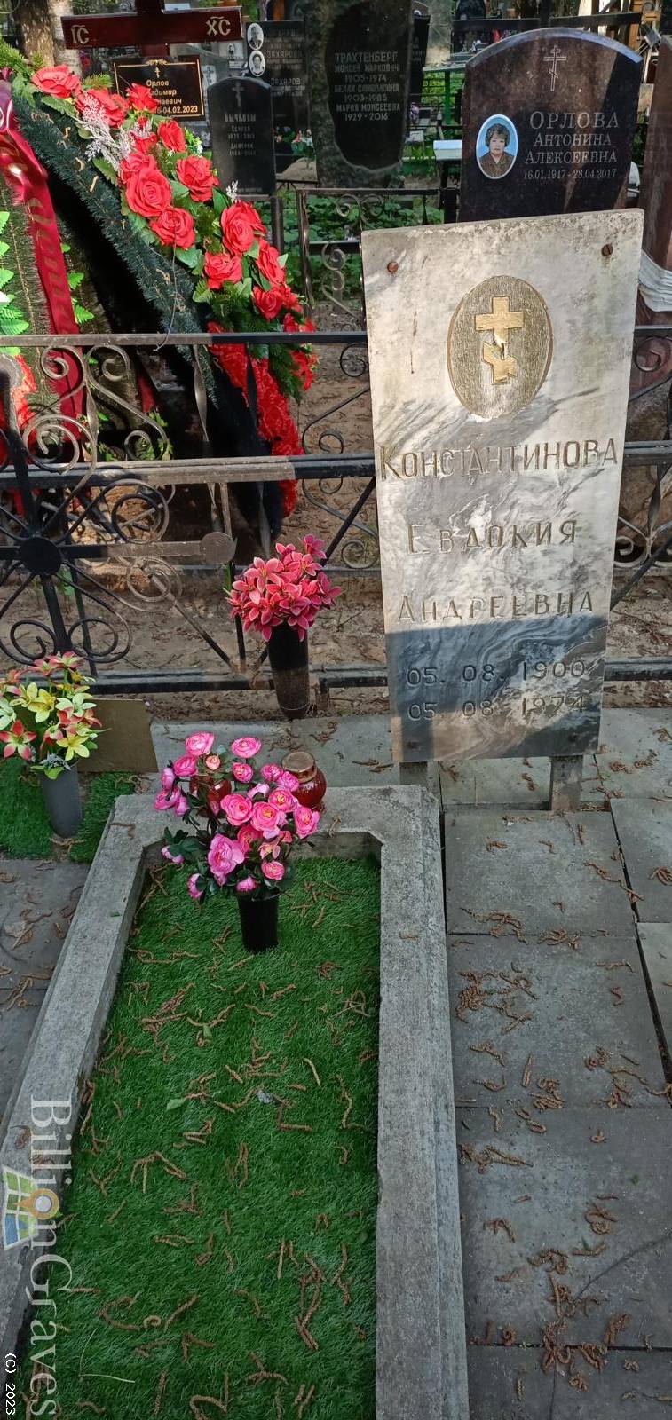 Константинова Евдокия Андреевна
