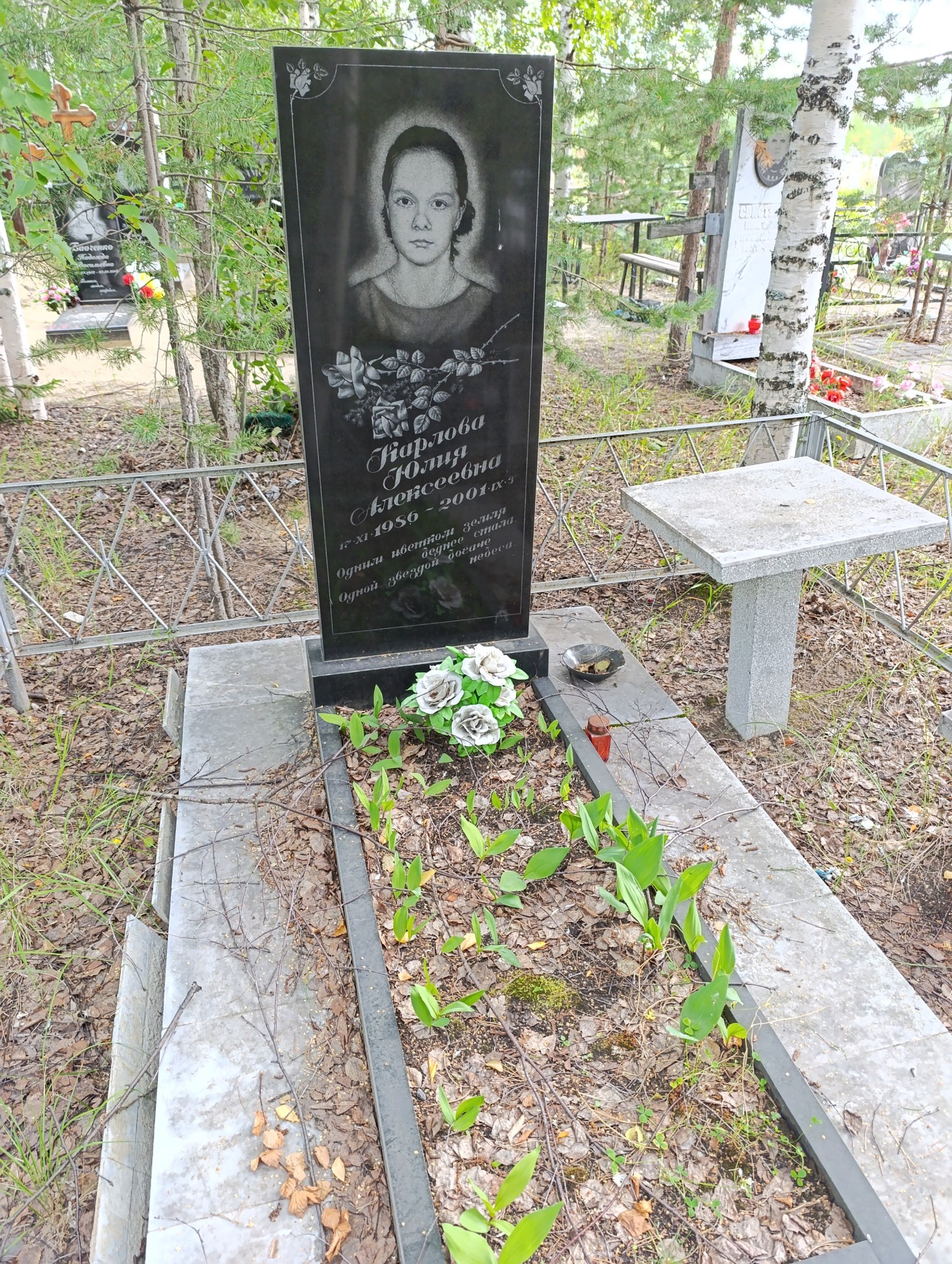 Карлова Юлия Алексеевна