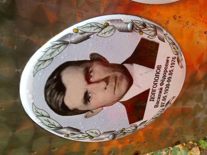 Долгополов