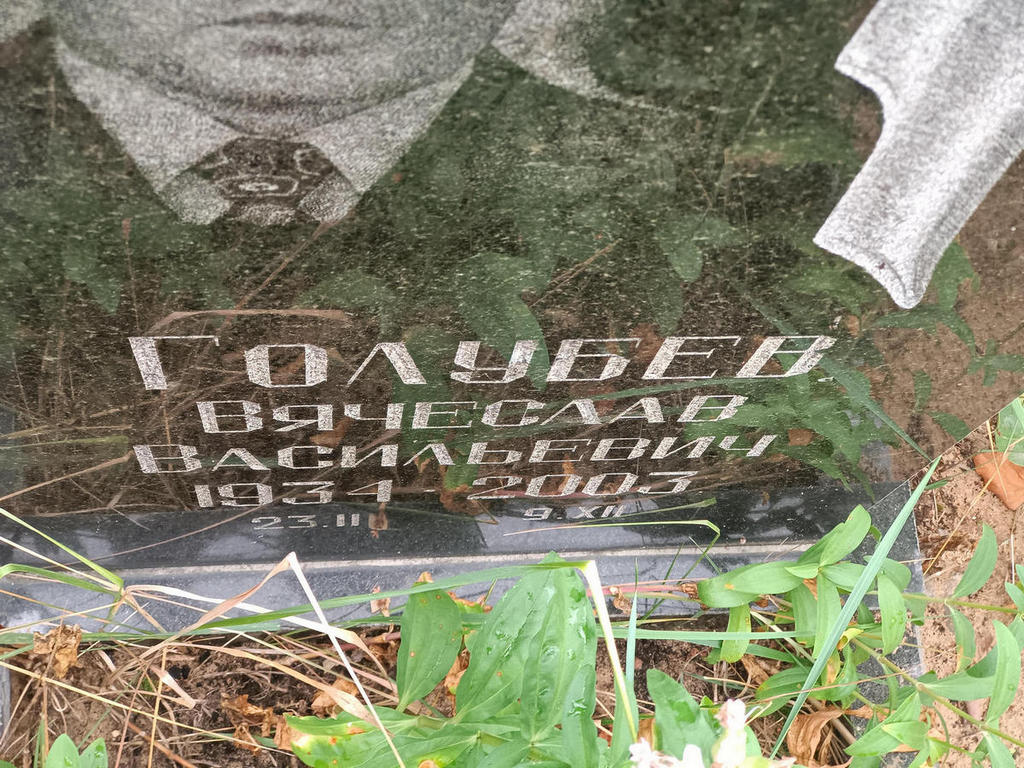 Голубев Вячеслав Васильевич