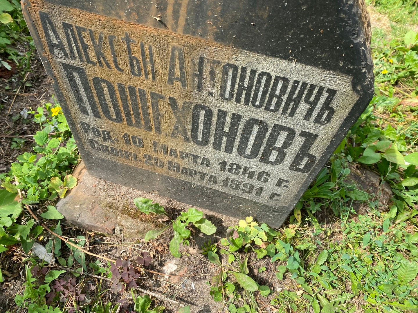 Пошехонов