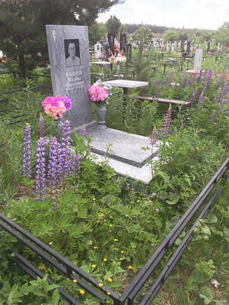 Базуев Михаил Николаевич