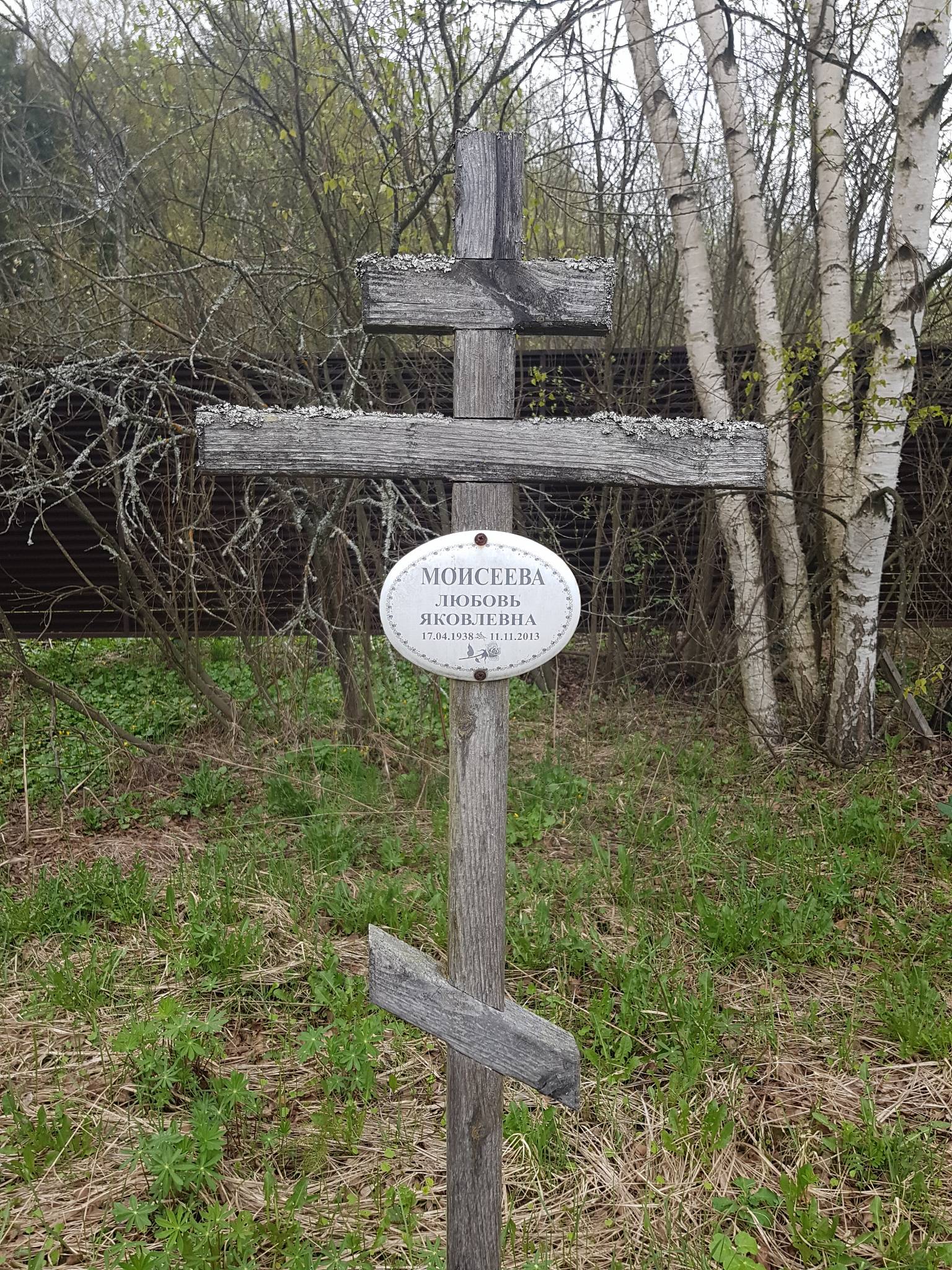 Моисеева Любовь Яковлевна