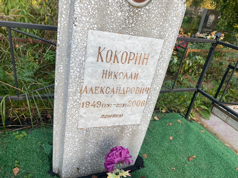 Кокорин