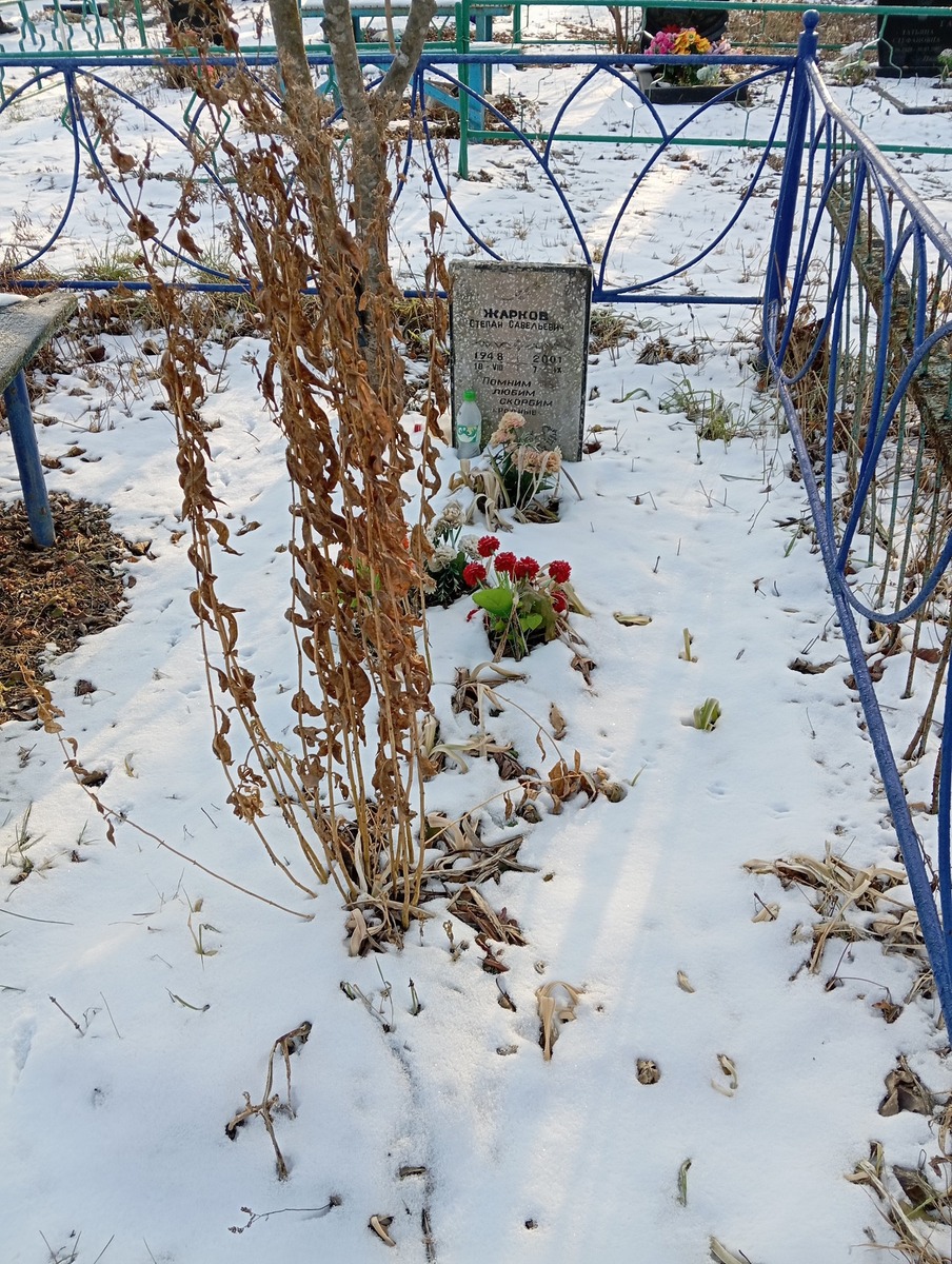 Жарков Степан Савельевич