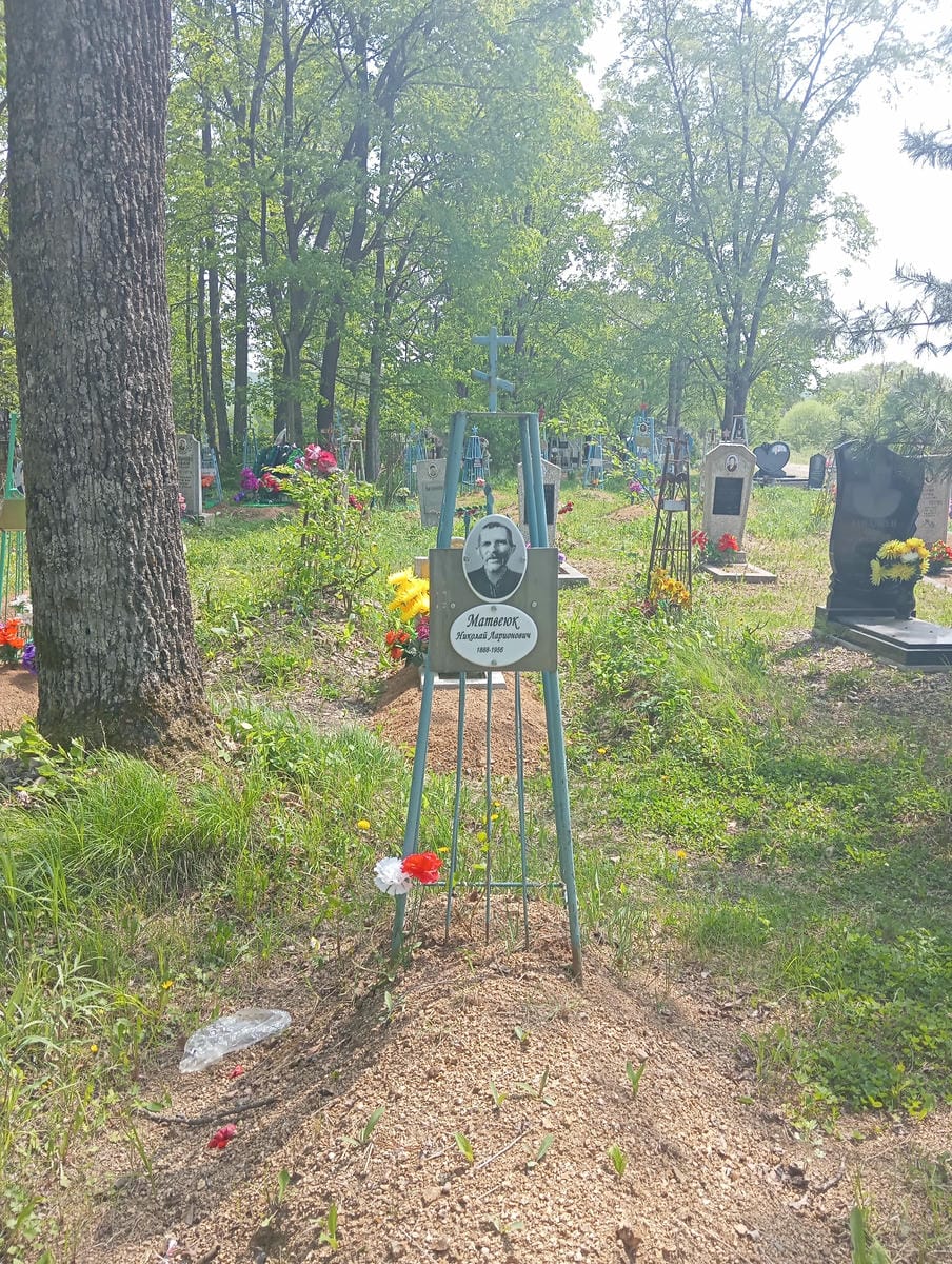 Матвеюк Николай Ларионович