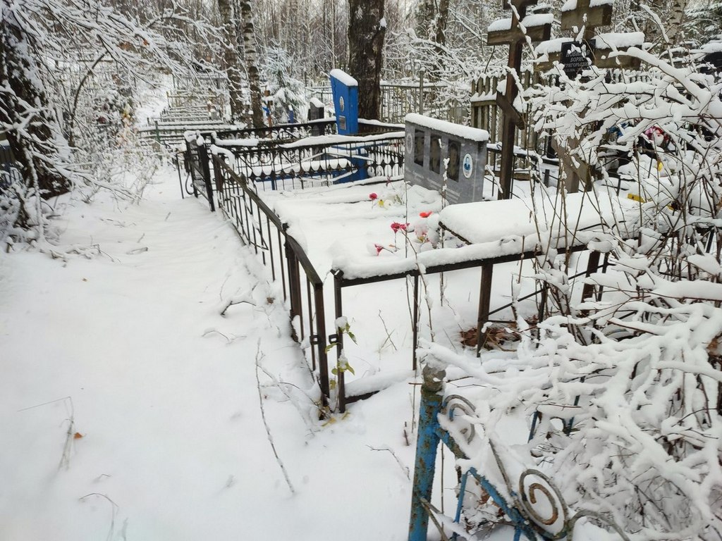 Новиков Борис Григорьевич