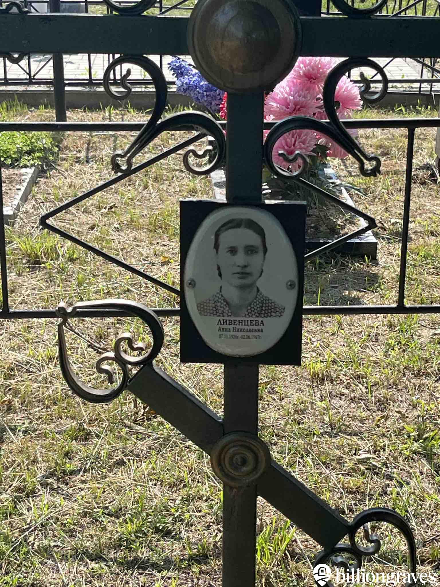 Ливенцева Анна Николаевна