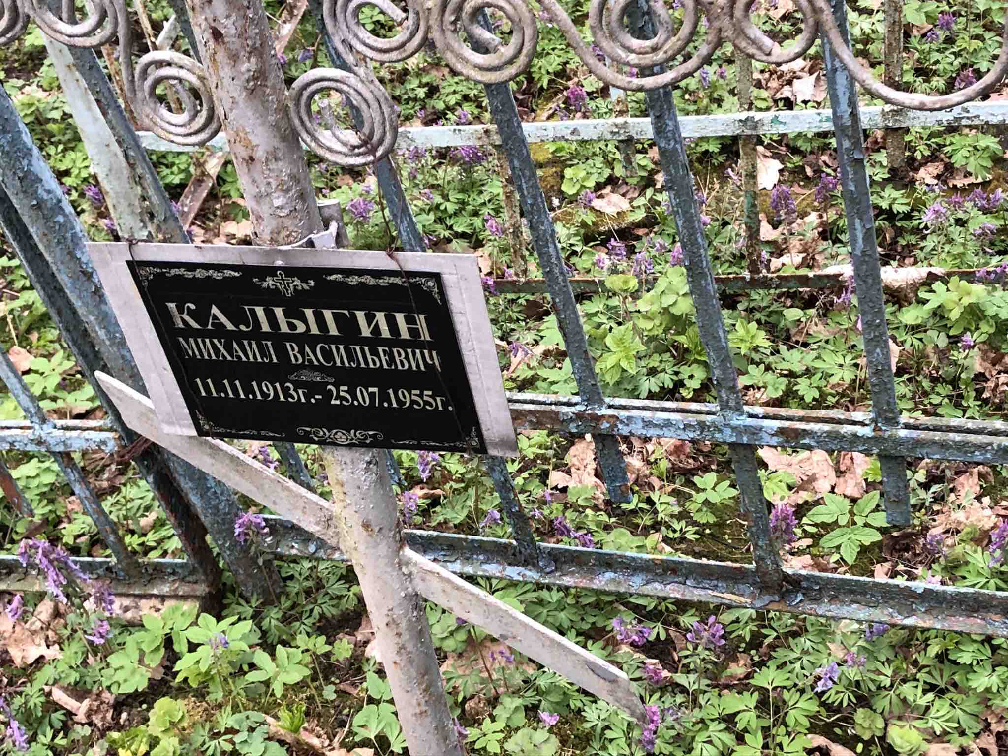 Калыгин Михаил Васильевич