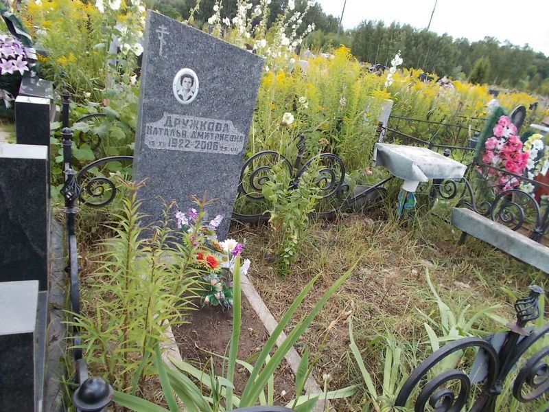 Дружкова Наталья Дмитриевна