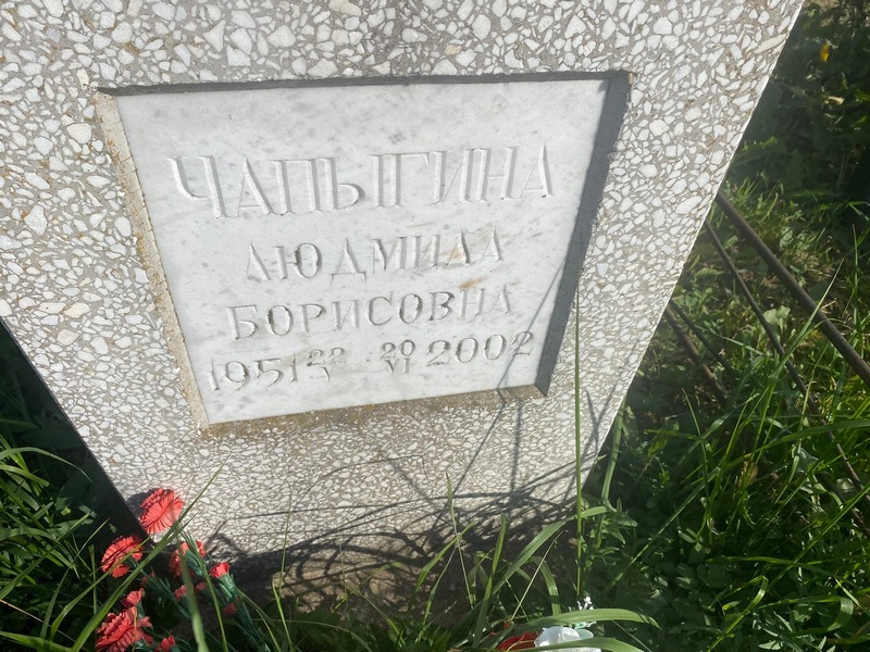 Чапыгина