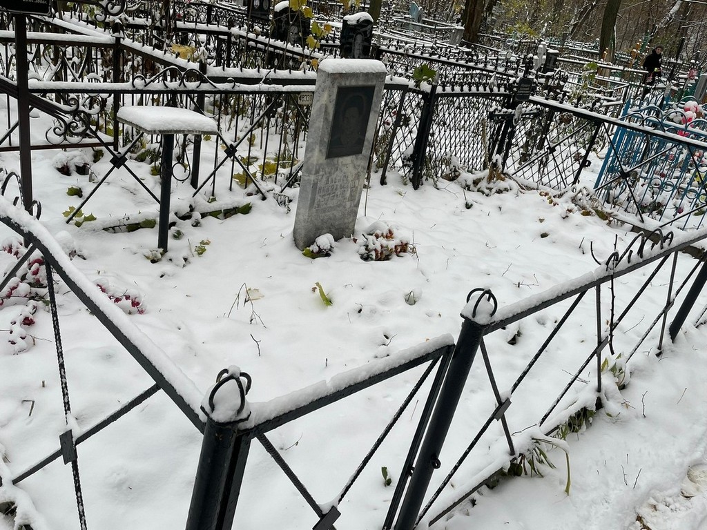 Дмитриева Анна Григорьевна