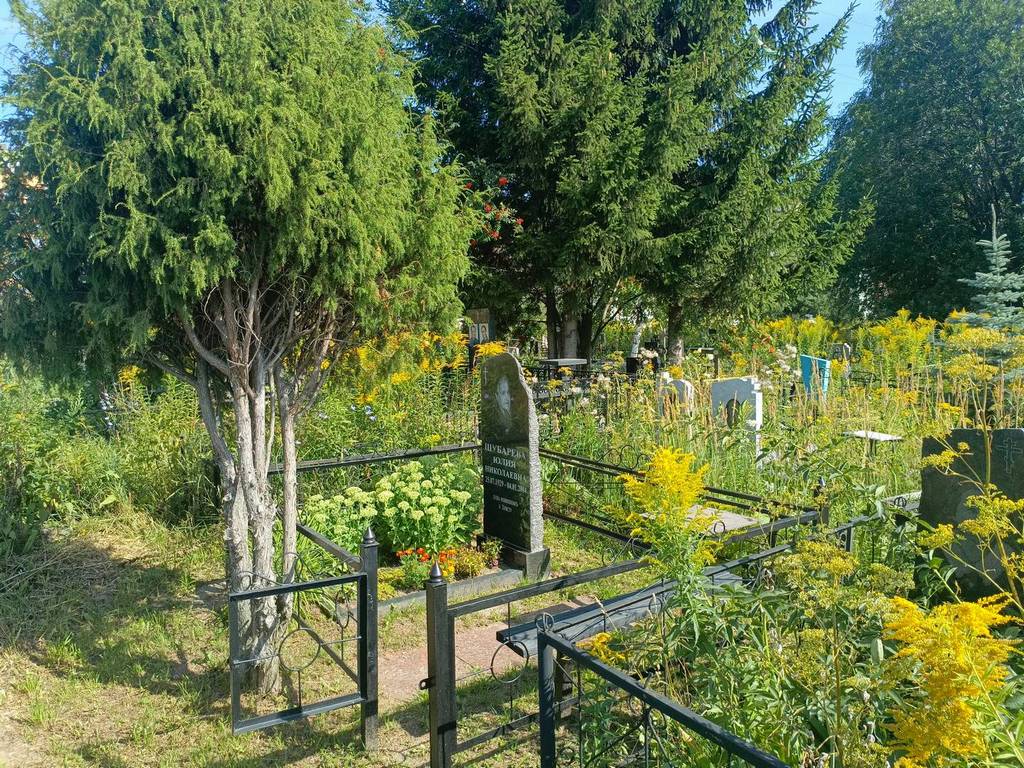 Шубарева Юлия Николаевна