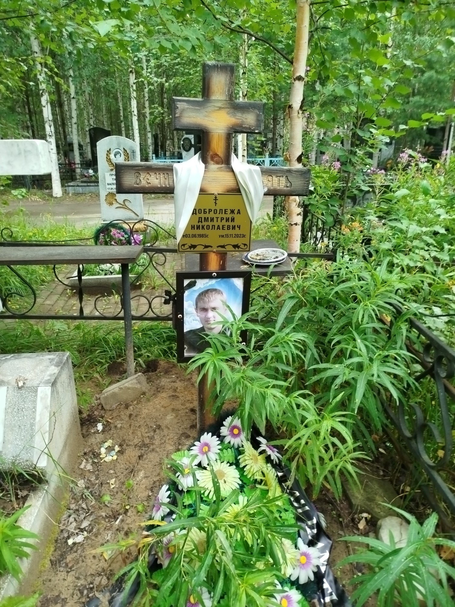 Добролежа Дмитрий Николаевич