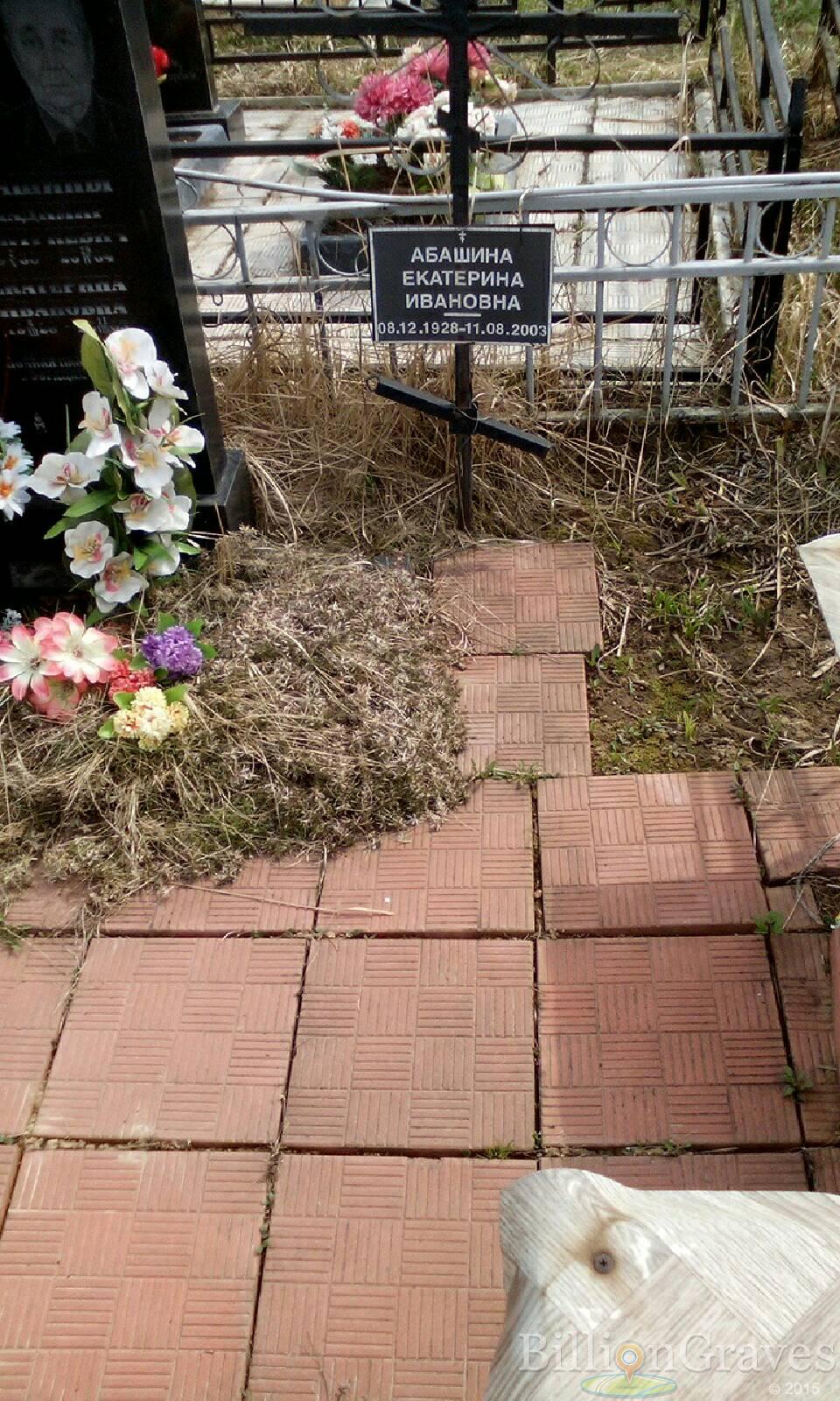 абашин Владимир дмитриевич