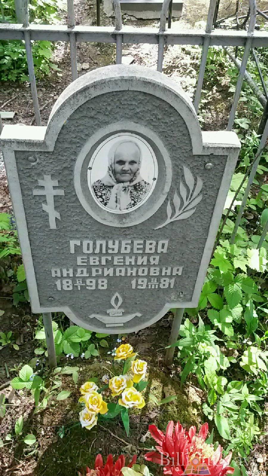 Голубева Юлия Андриановна